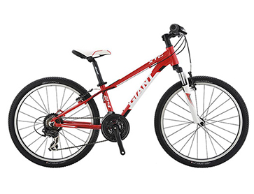 Xe đạp Giant XTC 24